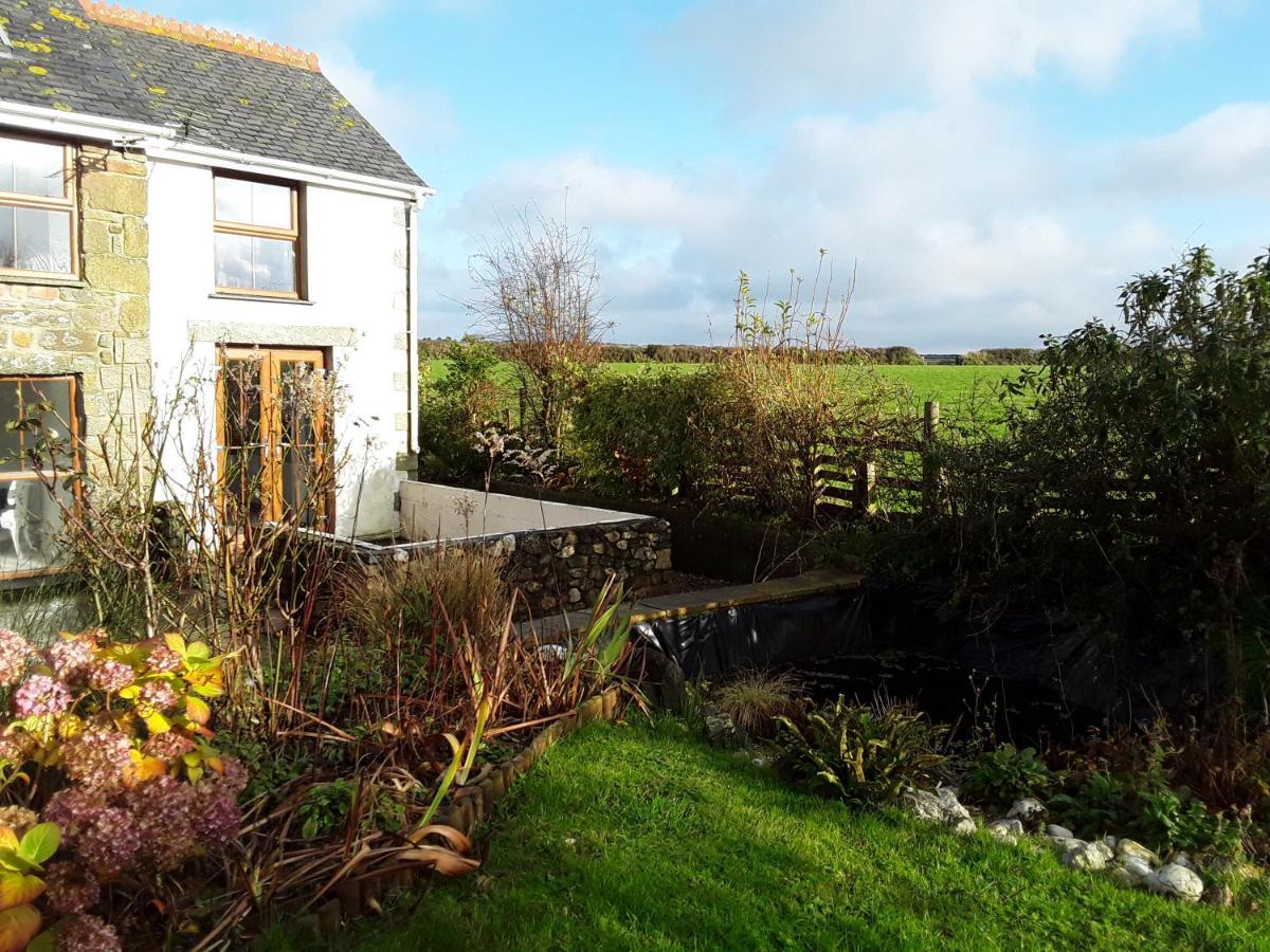 Butterfly Cottage Redruth Exterior foto